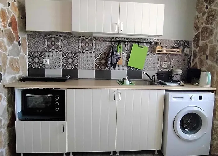 Daire Rustic House Smaro Émbonas